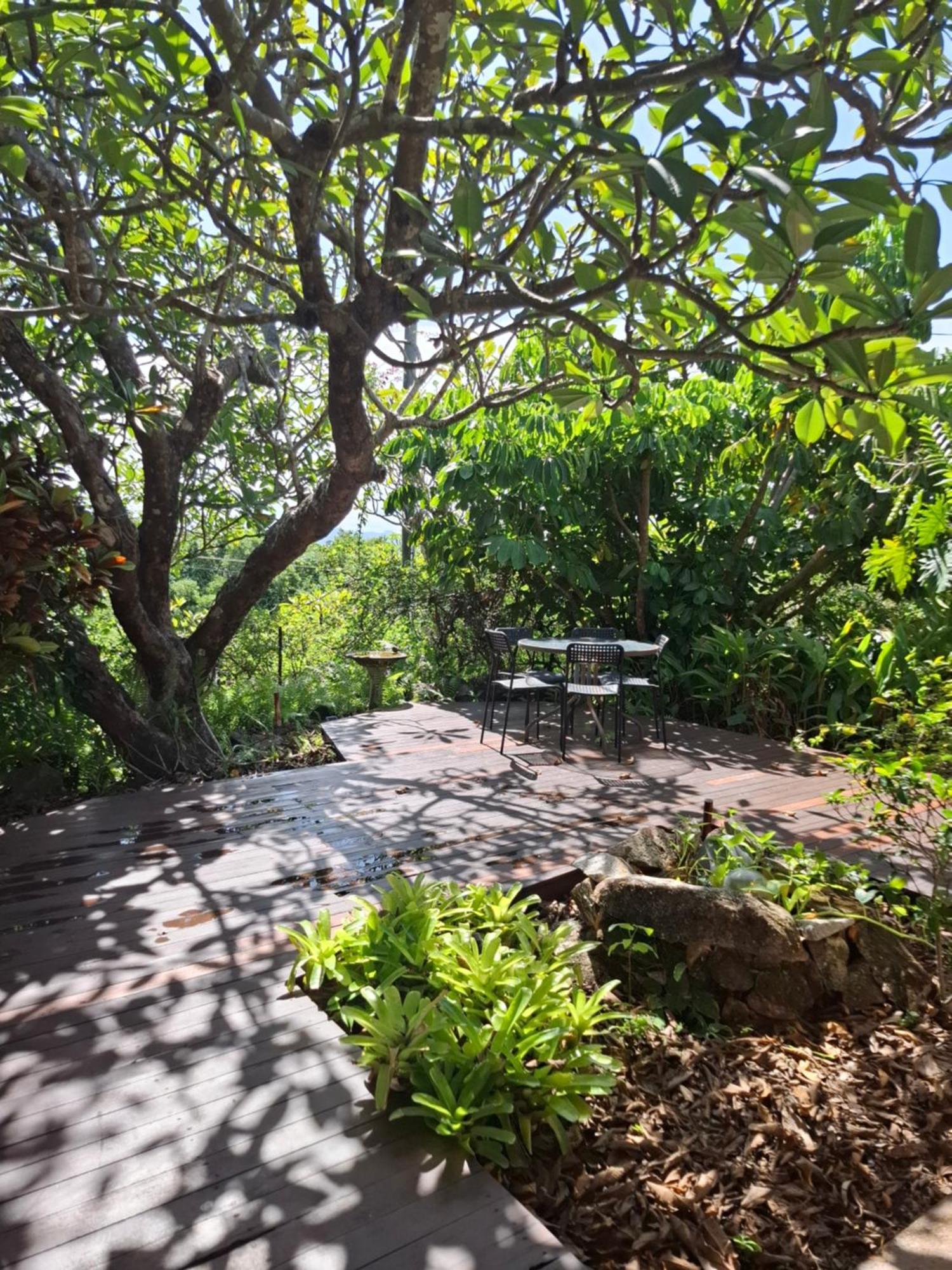 J & Ella'S Holiday House - 1 Bedroom, 1 Bathroom Home Cooktown Exteriör bild